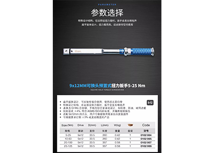 9x12MM可换头预置式扭力扳手5-25 Nm